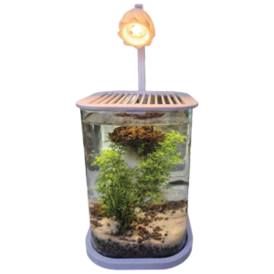 Mini Aquarium